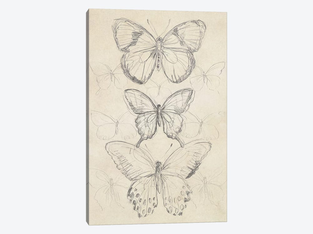 Vintage Butterfly Sketch I by June Erica Vess 1-piece Canvas Art