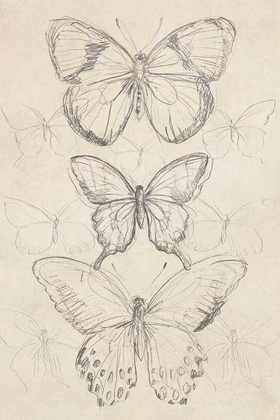 Modern Farmhouse Living Room: Vintage Butterfly Sketch I by June Erica Vess