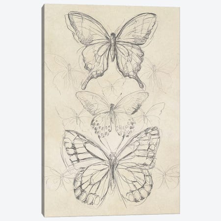 Vintage Butterfly Sketch II Canvas Print #JEV864} by June Erica Vess Art Print