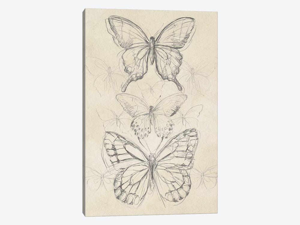 Vintage Butterfly Sketch II by June Erica Vess 1-piece Canvas Print