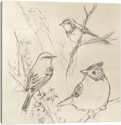 Vintage Songbird Sketch I Canvas Art Print - Sparrow Art