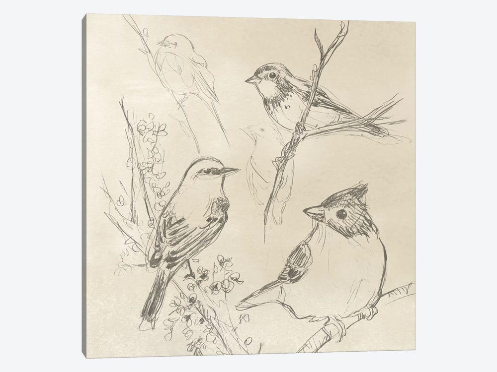 Vintage Songbird Sketch I by June Erica Vess 1-piece Canvas Wall Art