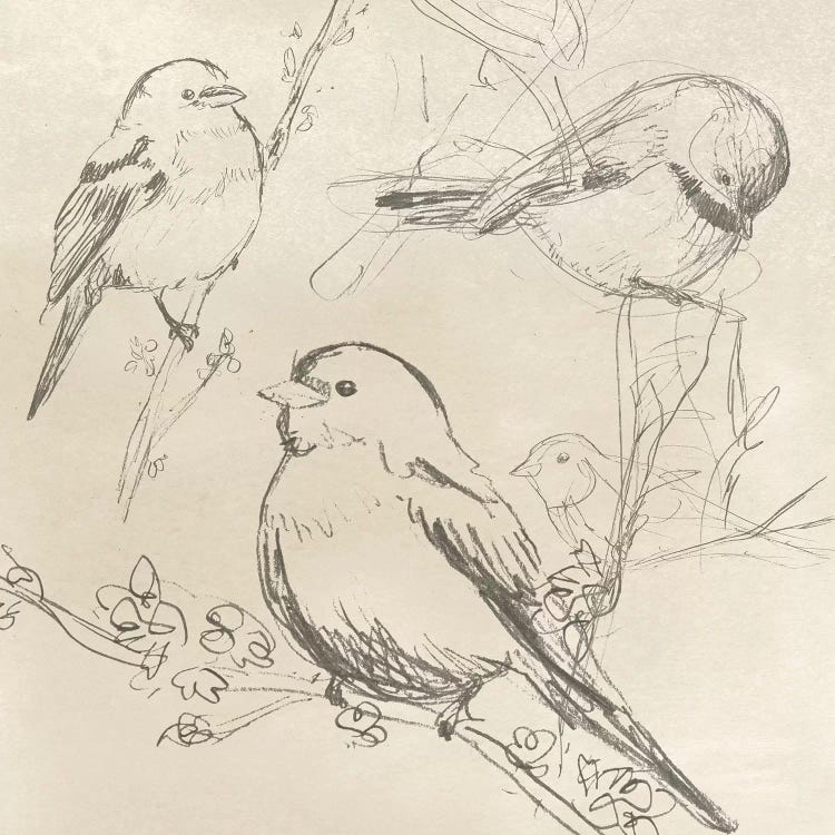 Vintage Songbird Sketch II