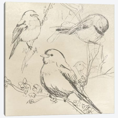 Vintage Songbird Sketch II Canvas Print #JEV866} by June Erica Vess Canvas Art Print