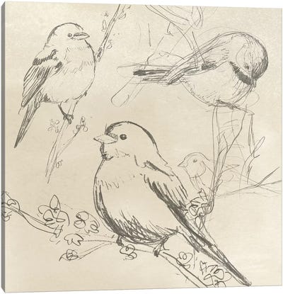 Vintage Songbird Sketch II Canvas Art Print - Sparrows