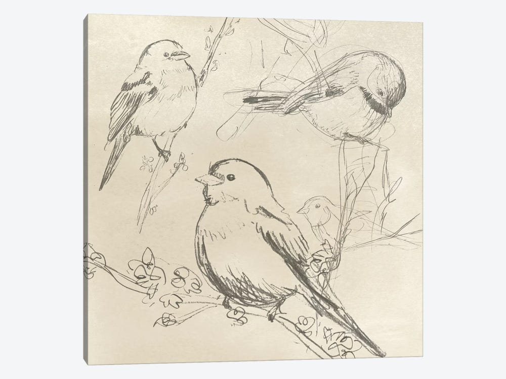 Vintage Songbird Sketch II by June Erica Vess 1-piece Art Print