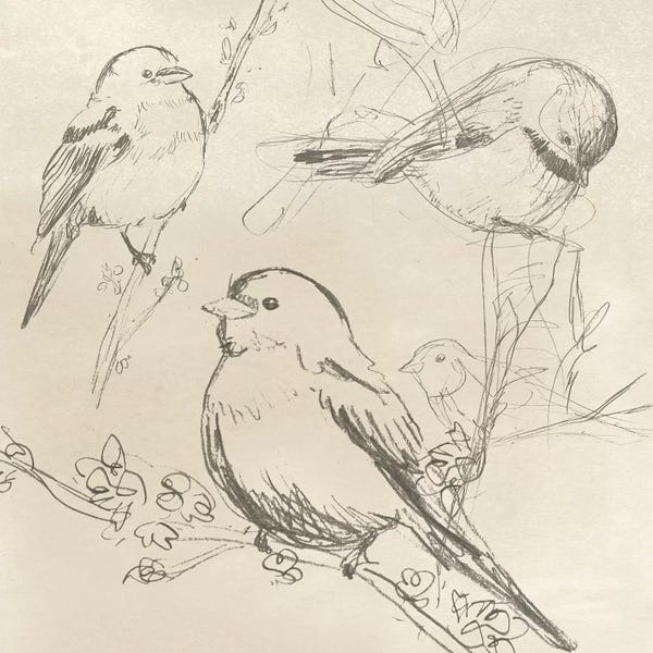 Sparrows: Vintage Songbird Sketch II by June Erica Vess