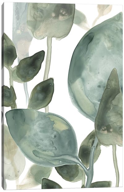 Water Leaves II Canvas Art Print - June Erica Vess