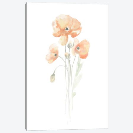 Delicate Bouquet I Canvas Print #JEV93} by June Erica Vess Canvas Print