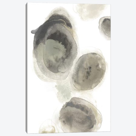 Water Stones I Canvas Print #JEV989} by June Erica Vess Canvas Art Print