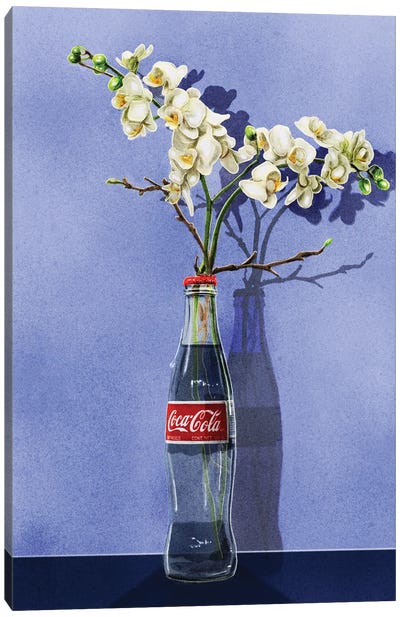 Beauty In The Mundane - Cola Canvas Art Print - Jamie Edler