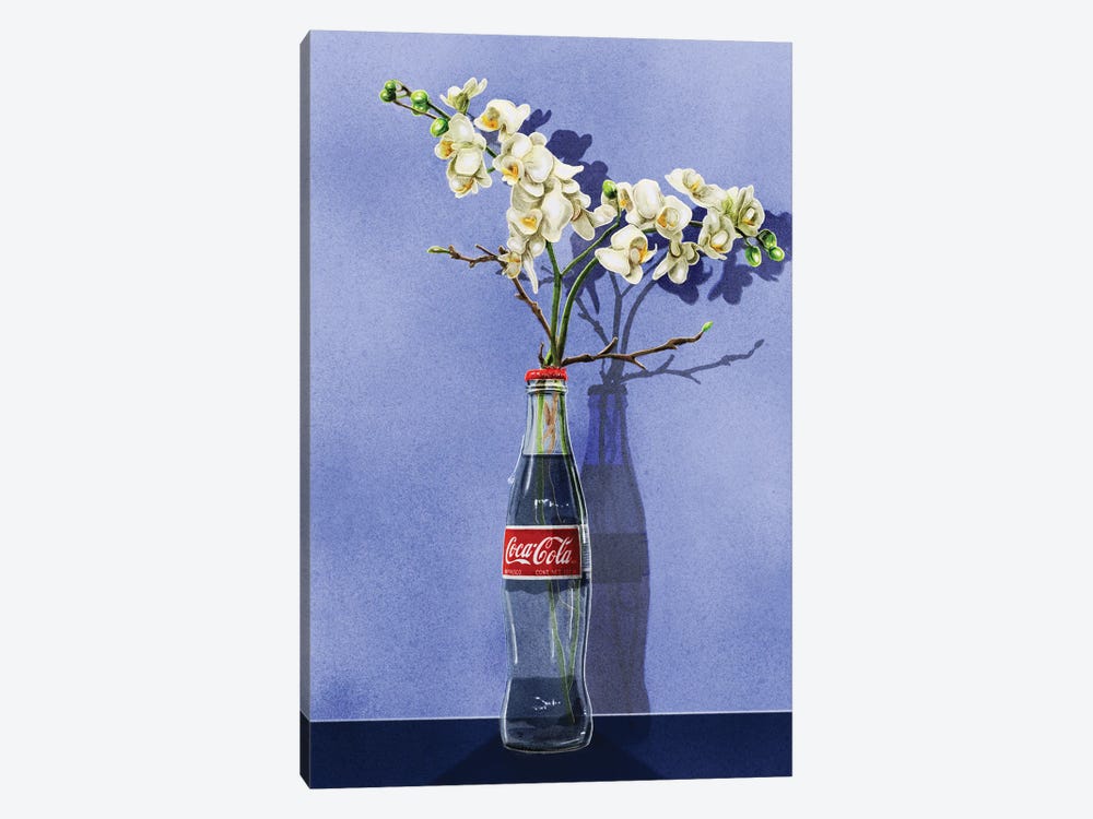 Beauty In The Mundane - Cola by Jamie Edler 1-piece Canvas Wall Art