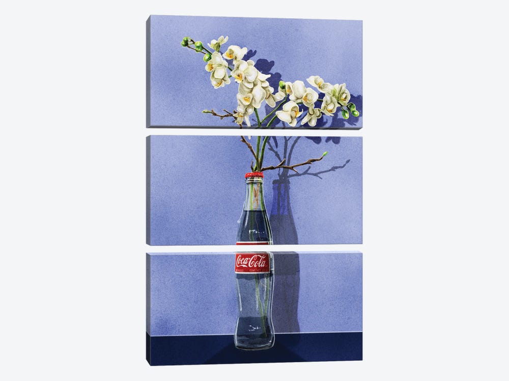 Beauty In The Mundane - Cola by Jamie Edler 3-piece Canvas Wall Art