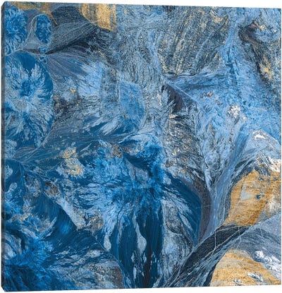 Gilded Indigo III Canvas Art Print - Blue & Gold Art