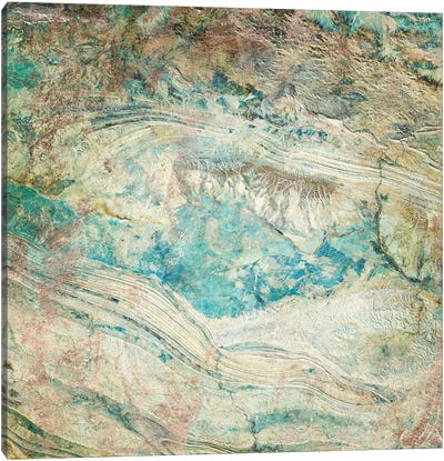 Sea Salt III Canvas Art Print