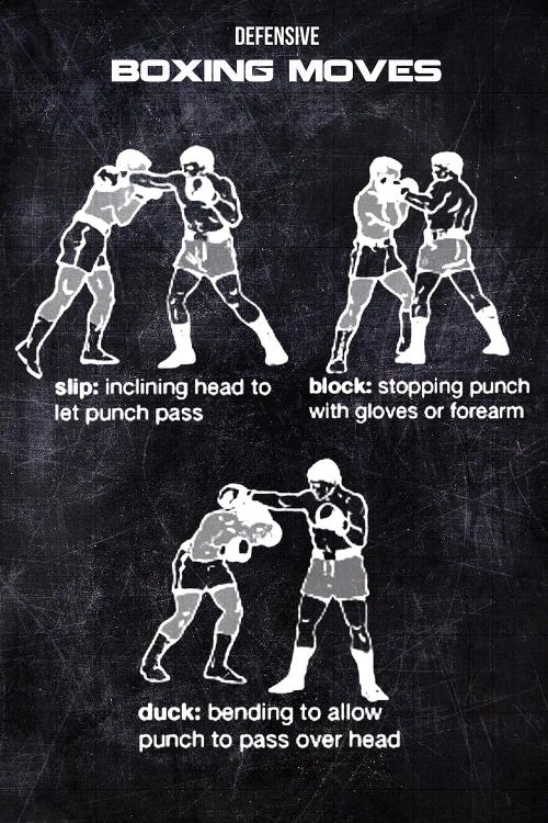 Boxing Moves