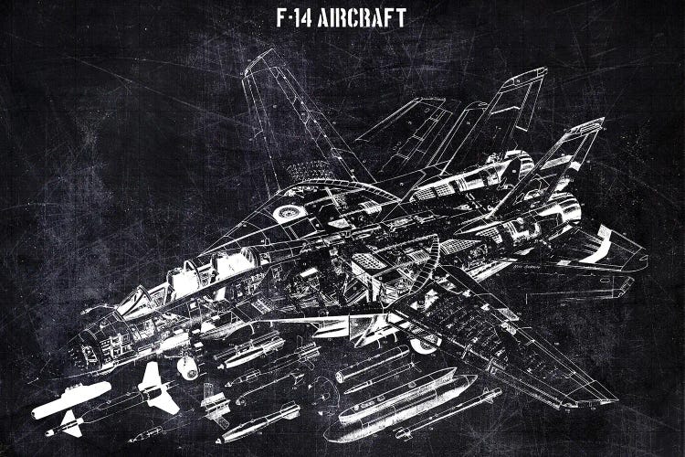 F-14 Aircarft