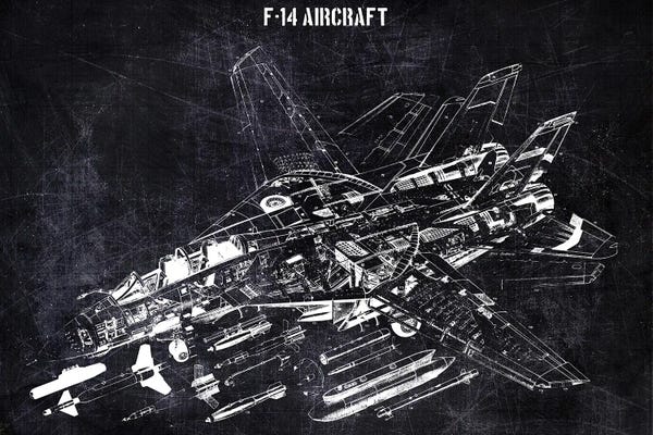 Aviation Blueprints: F-14 Aircarft by Joseph Fernando