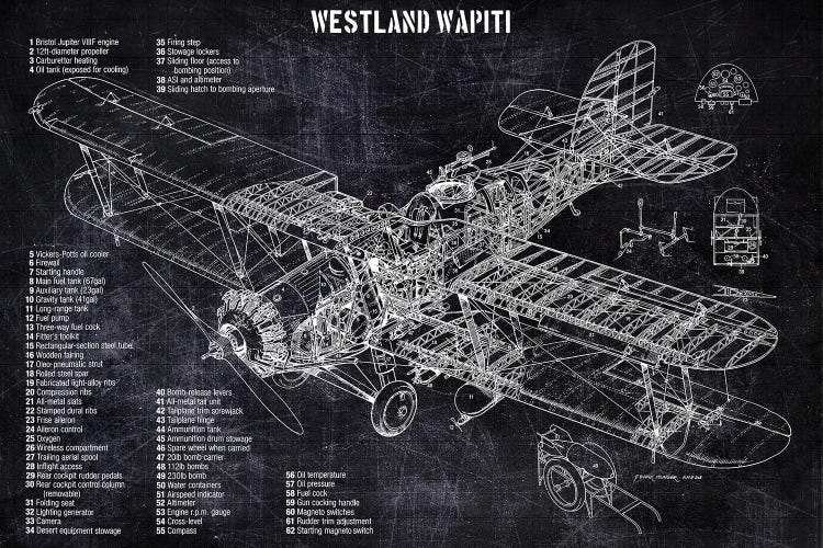 Westland Wapiti