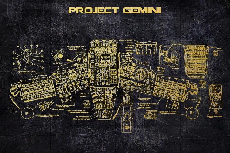 Project Gemini