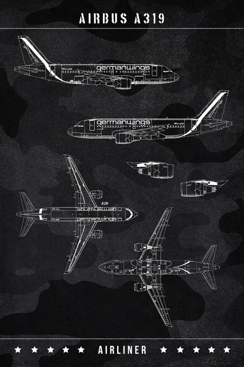 Airbus A319