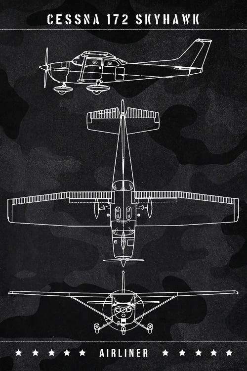Cessna 172 Skyhawk by Joseph Fernando wall art