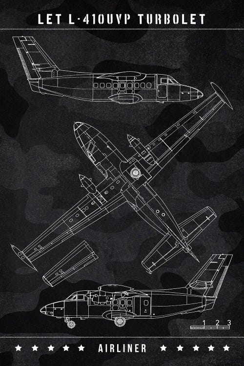 Let L-410Uvp Turbolet by Joseph Fernando wall art