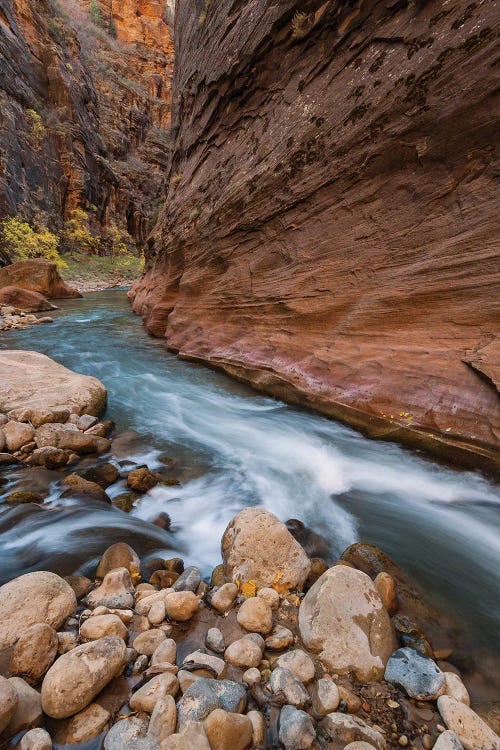 Virgin River, Zion National Park, Utah by Jeff Foott wall art