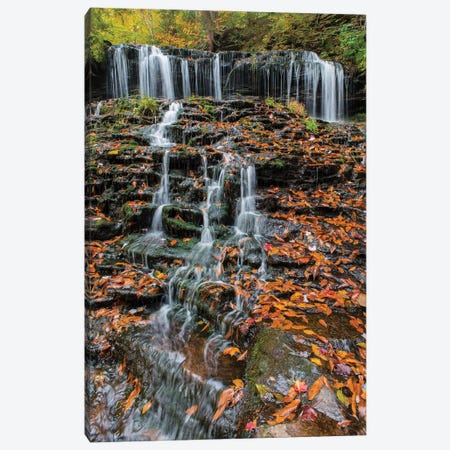 Waterfall in fall, Mohawk Falls, Kitchen Creek, Ricketts Glen State Park, Pennsylvania Canvas Print #JFF104} by Jeff Foott Canvas Print