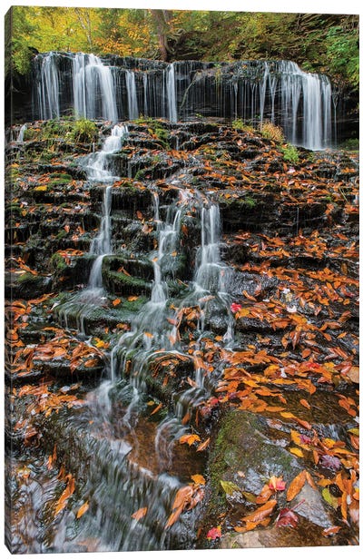 Waterfall in fall, Mohawk Falls, Kitchen Creek, Ricketts Glen State Park, Pennsylvania Canvas Art Print - Jeff Foott
