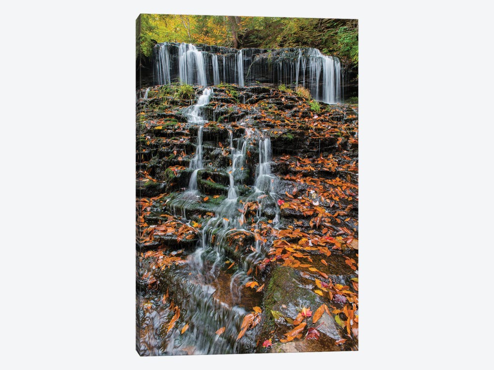 Waterfall in fall, Mohawk Falls, Kitchen Creek, Ricketts Glen State Park, Pennsylvania by Jeff Foott 1-piece Canvas Print