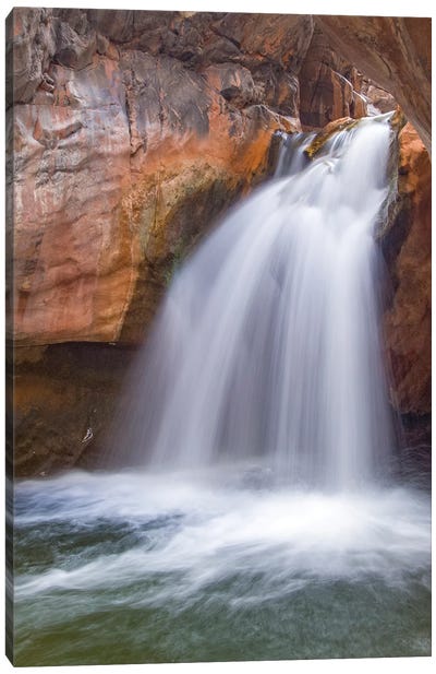 Waterfall, Shinumo Creek, Colorado River, Grand Canyon National Park, Arizona Canvas Art Print - Jeff Foott