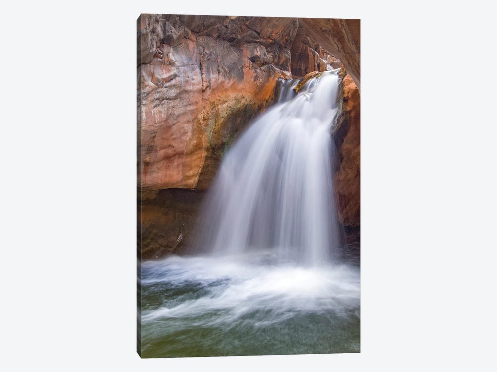 Waterfall, Shinumo Creek, Colorado River, Grand Canyon National Park, Arizona by Jeff Foott 1-piece Canvas Art