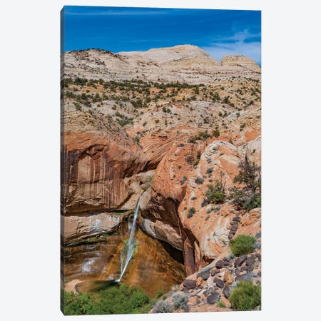 Waterfall In Desert, Calf Creek Falls, Grand Staircase-Escalante National Monument, Utah Canvas Print #JFF10} by Jeff Foott Canvas Print