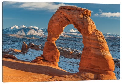 Delicate Arch and the La Sal Mountains, Arches National Park, Utah Canvas Art Print - Jeff Foott