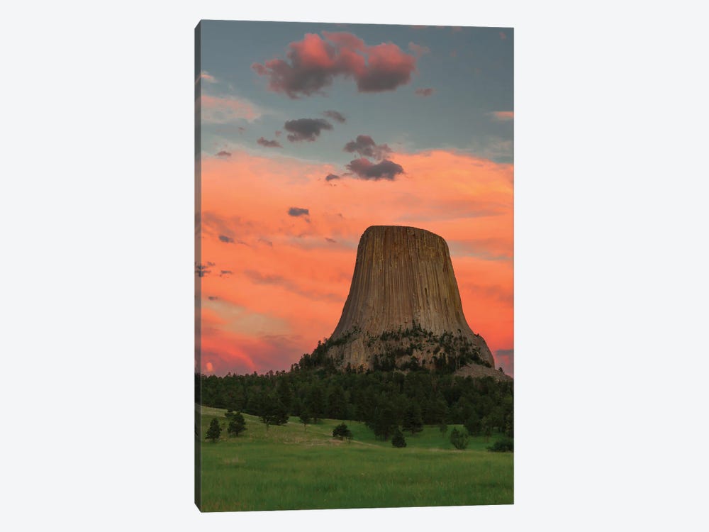 Devil's Tower National Monument , Wyoming by Jeff Foott 1-piece Canvas Artwork