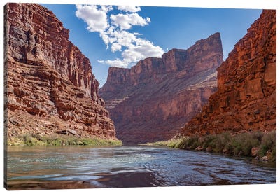 Limestone cliffs, Marble Canyon, Colorado River, Grand Canyon National Park, Arizona Canvas Art Print - Jeff Foott