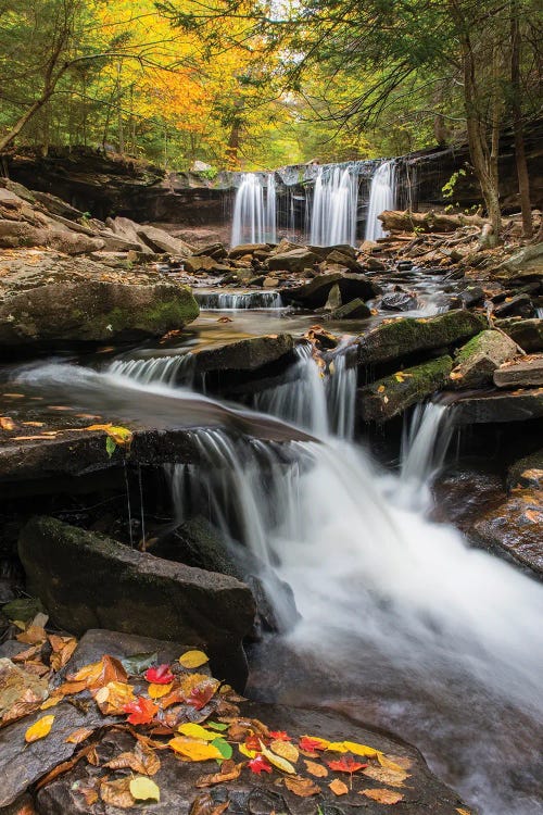 Oneida Falls, Ricketts Glen State Park, Pennsylvania