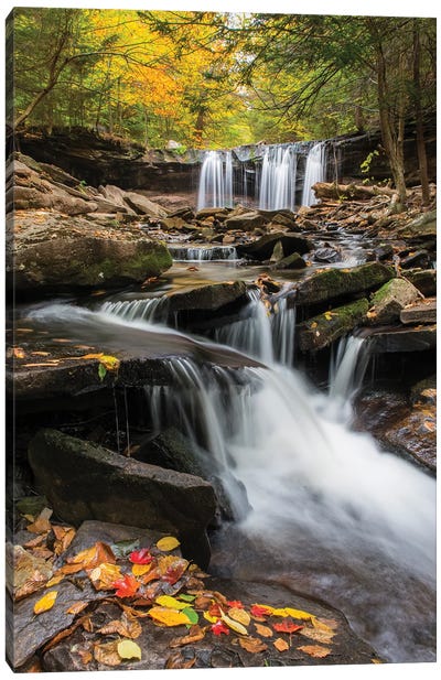 Oneida Falls, Ricketts Glen State Park, Pennsylvania Canvas Art Print - Waterfall Art