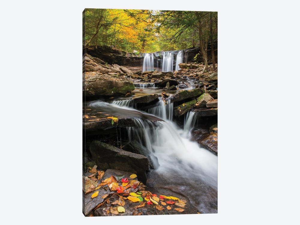 Oneida Falls, Ricketts Glen State Park, Pennsylvania by Jeff Foott 1-piece Canvas Art