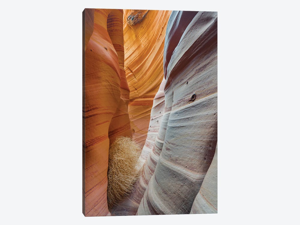 Slot Canyon, Zebra Canyon, Grand Staircase-Escalante National Monument, Utah 1-piece Art Print