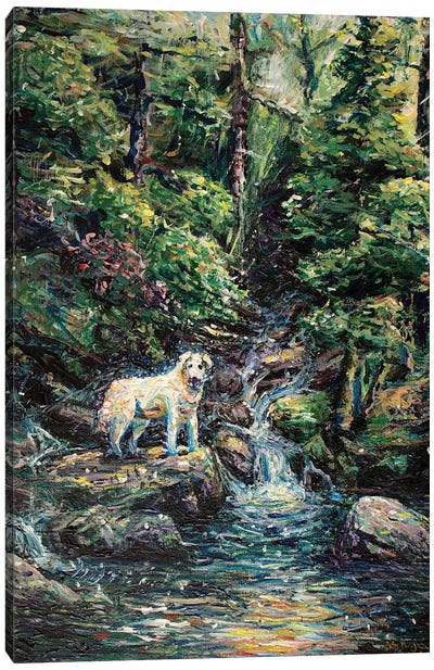 Spirit Dog Canvas Art Print - Jeff Johnson