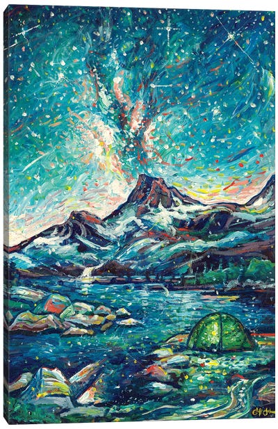 Alpine Bliss Canvas Art Print - Jeff Johnson