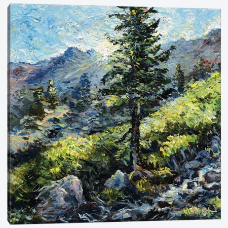 Mount Baldy Bowl Canvas Print #JFJ42} by Jeff Johnson Canvas Artwork