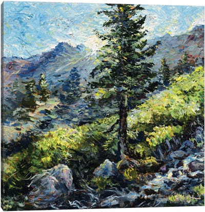 Mount Baldy Bowl Canvas Art Print - Lakehouse Décor