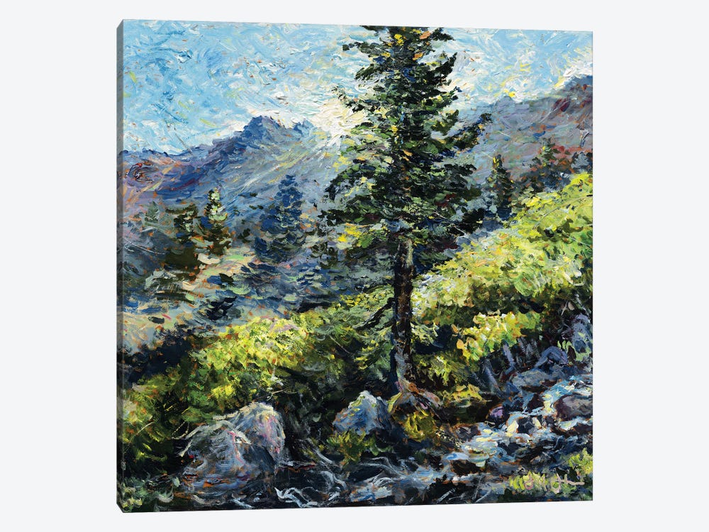 Mount Baldy Bowl by Jeff Johnson 1-piece Canvas Print