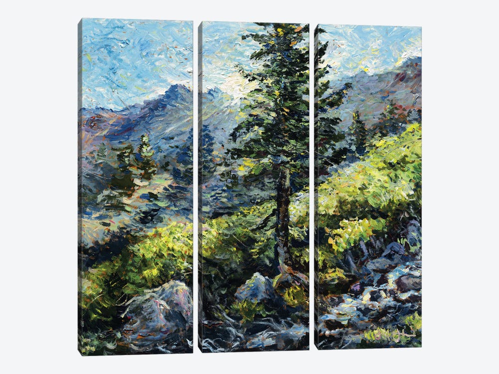 Mount Baldy Bowl by Jeff Johnson 3-piece Canvas Print