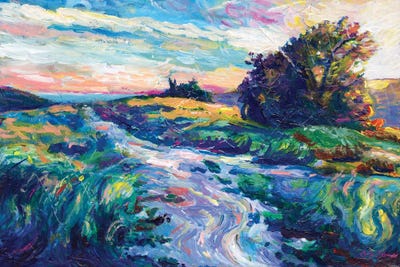 Pragmatic by Jeff Johnson art print