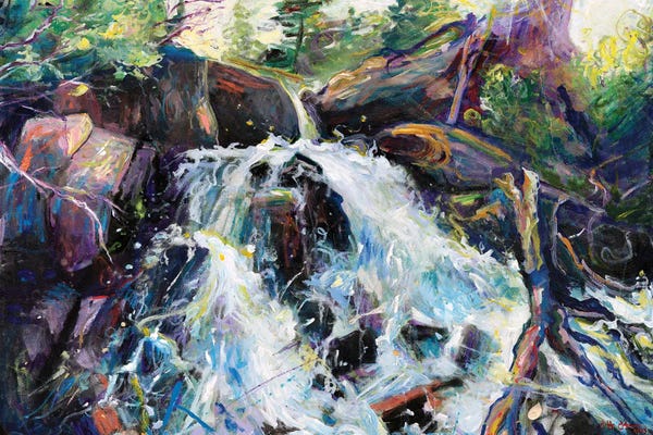 Rocks: Summer Polar Plunge by Jeff Johnson