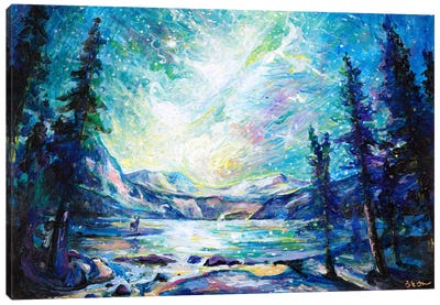 Alpine Paradise Canvas Art Print - Night Sky Art